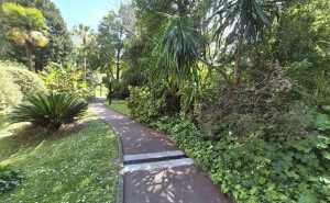 jardin 2