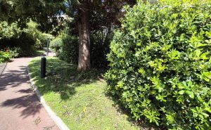 jardin