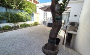 terrasse ouest bis