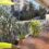 4P – 104M2 – Vieux chemin de Gairaut