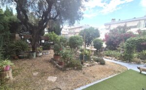 jardin sud