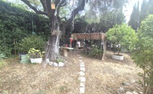 jardin sud bis