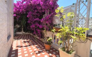 terrasse ouest