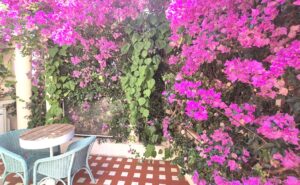 terrasse ouest bis