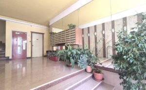 hall copro bis