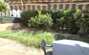 jardin bis