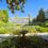 CIMIEZ – « Les jardins de Cemenelum » – Appartement 2 pièces avec terrasse + cave (garage en sus)